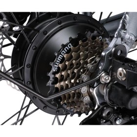 Resim Ape Ryder A10 7 Vites 20 inç İki Kişilik Elektrikli Bisiklet Katlanamaz Tasarım 