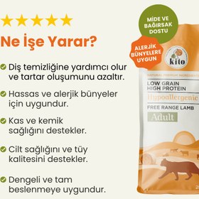 Resim Kito Doğal Besi Kuzu Etli Yetişkin Kedi Maması 2 KG 