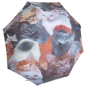 Resim Sevimli Kedi Yavruları Desenli Rüzgara Dayanıklı Manuel Bayan Şemsiyesi Çok Renkli 