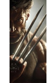 Resim aydın garage Araba Kapı Direk Kaplama Folyosu Wolverine 