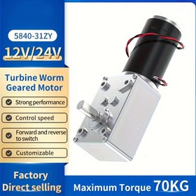 Resim Yüksek Torklu ve Kendinden Kilitli 140kg Fırçasız DC Solucan Dişli Motoru 12V 24V 5840-31ZY 
