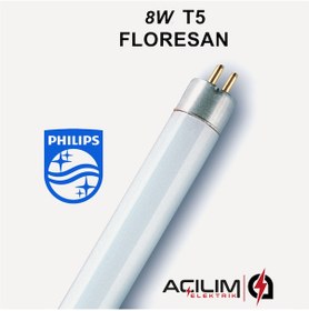 Resim Philips 8W T5 Beyaz Floresan 6500K 30Cm Tırnakları Dahil 
