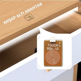 Resim Ahşap Arkası Dokunmatik Sensör (220V ŞERİT LED BAĞLANTILI) 