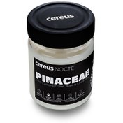 Resim Cereus Nocte Pinaceae Çam Kokulu Soya Mum 210 G 