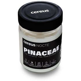 Resim Cereus Nocte Pinaceae Çam Kokulu Soya Mum 210 G 