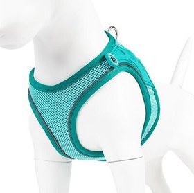 Resim Max Molly Matrix 2.0 Air Vest Köpek Göğüs Tasması - Turkuaz (Medium) 