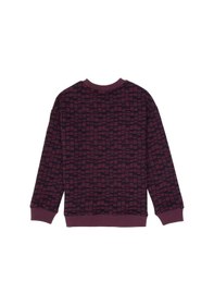 Resim U.S. Polo Assn. Erkek Çocuk Bordo Bisiklet Yaka Sweatshirt 50308599-VR177 