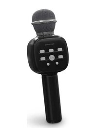 Resim Polosmart Fs59 Karaoke Bluetooth Aux Usb Sd Kart Girişli Mikrofon 