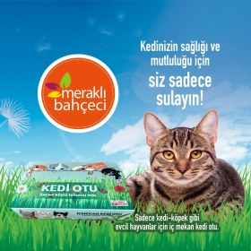 Resim Kedi Otu Kit Kedi Çimi Set - Toprak, Saksı, Koruyucu File Ve Tohum Seti 