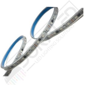 Resim WS2811 Kalın Silikonlu İP68 ARGB Pixel Şerit Led 12 Volt 5m 