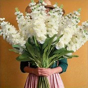 Resim 15 Adet Beyaz Ortanca Yapay Çiçek Buketi, Solmaya Karşı Dayanıklı - İç Mekan/Dış Mekan Düğünler/Bahçeler/Ofisler/Partiler için Uygun | Bahar & Yaz Dekoru, Bağımsızlık Günü ve Sonbahar Süslemesi, Tüm Mevsimler için Çiçek Aranjmanı, Çok Yönlü Fotoğraf Çekim Sahnesi, Ofis Dekorasyonu, Düğün Süslemeleri, Şık Düzenleme, Dayanıklı Plastik, Gerçekçi Taç Yapraklar, Dekoratif Buket, Ev Dekorasyoncuları, Düğün Stilistleri 