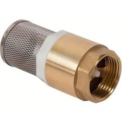 Resim Fochsia 4 Nokta Dn15 Pirinç Pimaş Vana Emme Borusu Filtre Plastik Çekirdek İç Dişli Dikey Çekvalf 