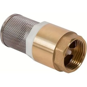 Resim Fochsia 4 Nokta Dn15 Pirinç Pimaş Vana Emme Borusu Filtre Plastik Çekirdek İç Dişli Dikey Çekvalf 