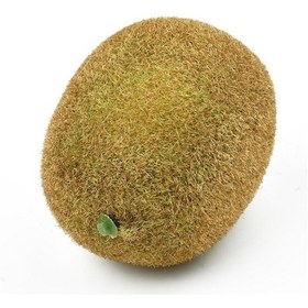 Resim Yapay Meyve Kivi Fake Fruit 