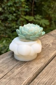 Resim Rufus Concept Kaktüs 1 Silikon Mum Kalıbı 