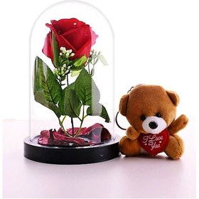 Resim Fanusta Led Işıklı Kırmızı Gül ve Mini Ayıcık Set Sevgiliye Hediy 