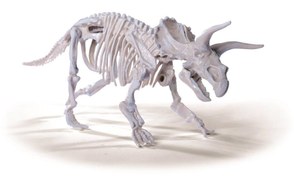 Resim Simba Dino İskelet Kazı Seti Triceratops 104342547 