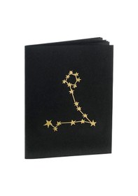 Resim Balık Burcu Yıldız Haritası Defter 