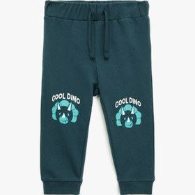 Resim Erkek Bebek Pamuklu Dinozor Baskılı Beli Bağcıklı Şardonlu Jogger Eşofman Altı 