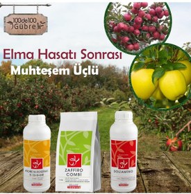Resim Elma Ağaçlarında Hasat Sonrası Kış Uygulaması Seti 