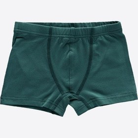 Resim Malabadi Erkek Çocuk Yeşil 3 Lü Paket Pamuk Elastan Boxer 209 