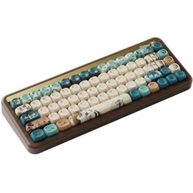 Resim Akko MU01 Joy of Life Botany Switch RGB Kablosuz Mekanik Oyuncu Klavye 