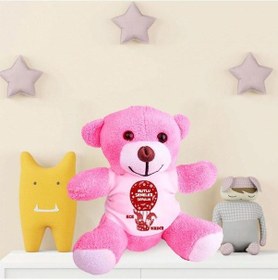 Resim Kişiye Özel Yeniyıl Baskılı Peluş Pembe Ayı Hk2436 