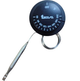 Resim inox rezistans Tecasa Gazlı Termostat 60-200 Derece Adet 