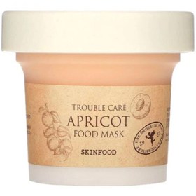 Resim Skinfood Apricot Food Mask - Kayısı Özlü Temizleyici Cilt Bakım Maskesi 120gr 
