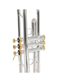 Resim Roy Benson Tr-cgs Charlie Green Signature Trompet Üst Segment - Sanatçı Serisi Charlie Green Özel Tasarımı, Büyük Kalak Large Bell , Özel Balans Ağırlığı, Profesyonel Caz Tonu Uyum: Profesyonel Caz Ve Solo Performans 