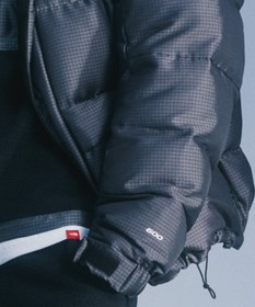 Resim The North Face M Hmlyn 30 Anniversary Parka 