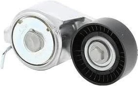 Resim Fiat Brava Alternatör Gergi Rulmanı 1.2-1.6 / 8V-16V Orijinal OPAR 55258443 