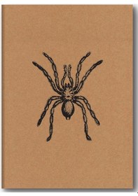 Resim Kraft Defter Düz Örümcek 
