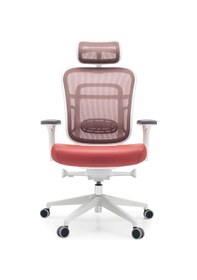 Resim Passion Oyuncu Koltuğu Ofis Çalışma Makam Koltuğu 