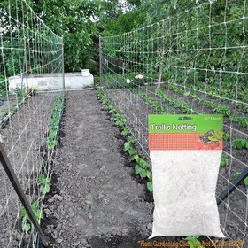 Resim 1 Paket, Polyester Örgülü Izgara Tırmanma Rattan Ağ Bitki Izgara Tırmanma Hidroponik Bahçe Ağı Bitki Dikim Ağı Çok Amaçlı 
