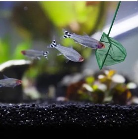 Resim Akvaryum Balık Kepçesi - 12 Cm 