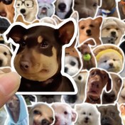 Resim 200 Adet Komik Sevimli Köpek & Kedi Meme Sticker Paketi - Mat Bitiş, Kendinden Yapışkanlı PVC, Laptoplar, Buzdolapları, Scrapbooklar için Hayvan Baskılı Çıkartmalar - Çeşitli Düzensiz Şekillerde Glitter Vurguları ile, Komik Stickerlar 