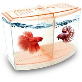 Resim Beta Kabı Akvaryumu 9x19x14 Cm - Karışık Renk 