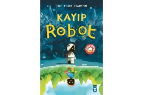 Resim Kayıp Robot 