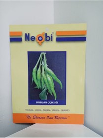 Resim Neobi Çiçek Süs Acı Biber Tohumu 10 Gr 1 Adet 