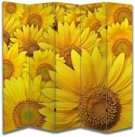 Resim Doğa Temalı Özel Tasarım Paravan Room Divider PRV1168, 180 x 180 