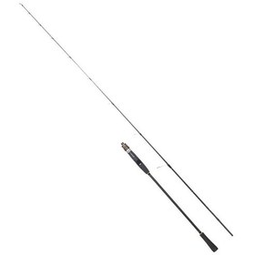 Resim Ryuji Teton 180cm 20-60gr Light Jigging Olta Kamışı 