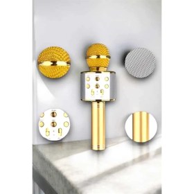 Resim çınar ticaret taşınabilir bluetooth karaoke mikrofon: hafıza kart girişli, etkileyici performans 