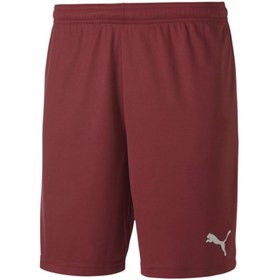 Resim Puma 704262 Teamgoal 23 Knıt Shorts 