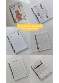 Resim Konuşan Ajanda, Bol İçerik, Renkli Sayfalar, My Planner Çok Renkli 