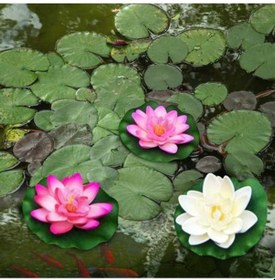 Resim Trendooze Yapay Malzeme Lotus İnç Havuz Görünüm, Gerçekçi Eva Dekoru, Dayanıklı Çiçeği 4 - Sf 