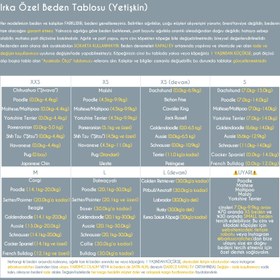 Resim Pawdalette Delikli Yazlık-Baharlık Köpek Ayakkabısı (4'lü set) 