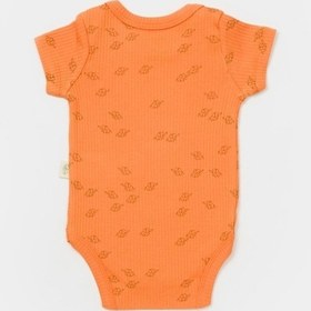 Resim BabyCosy Organik Modal Fil Baskılı 2 Li Kısa Kollu Badi Csym11217 001 