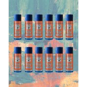 Resim Virtues Premium 12 Adet Ocaliptus Klima Koku Giderici 150ML. 