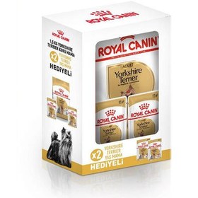 Resim Royal Canin BOX Yorkshire Terrier Köpek Maması 1,5 Kg + 2 Adet Royal Canin Yaş Mama 